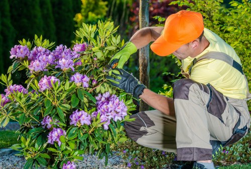 Photo of a gardener beside a lawn mower