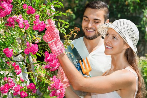 Seasonal garden maintenance in Rotherhithe