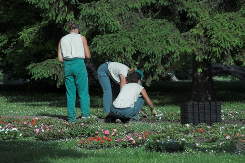 Modern lawn mowing equipment used by Rotherhithe professionals